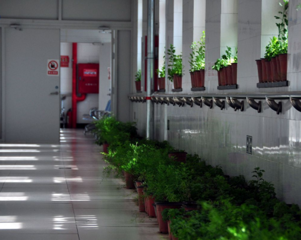 1581738988300017750.png 微信截圖_20200215114916.png