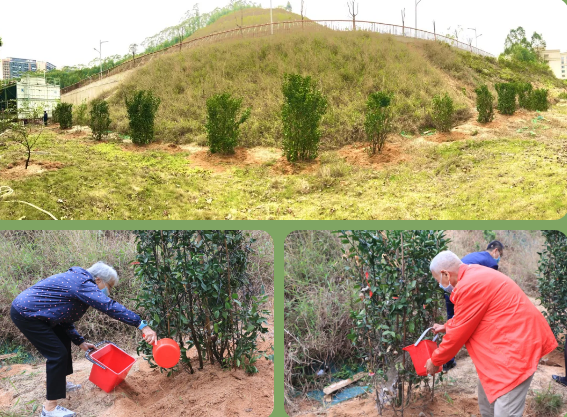 1584068029197087806.png QQ截圖20200313105226.png