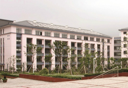 1584413945404066644.jpg 1584413945404066644.jpg