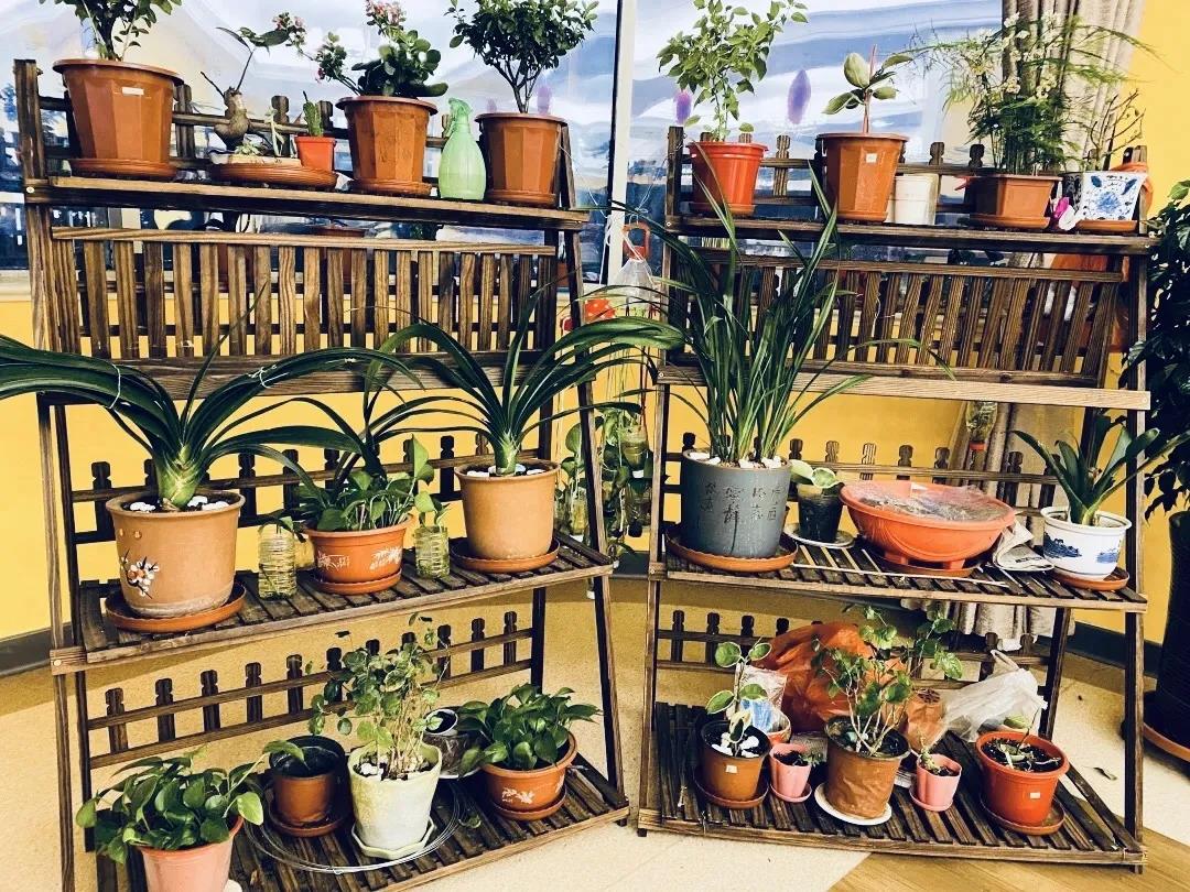 1585185308753062121.jpg 1585185308753062121.jpg