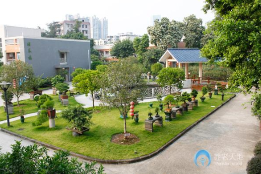 1585207063449028243.png 8.png