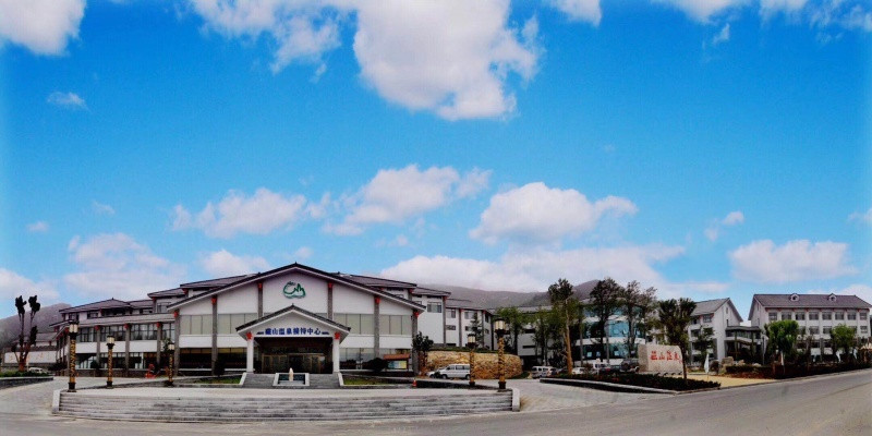 1585730965334095167.jpg 1585730965334095167.jpg