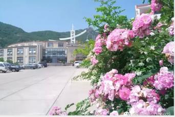 1586763590699042380.jpg 1586763590699042380.jpg