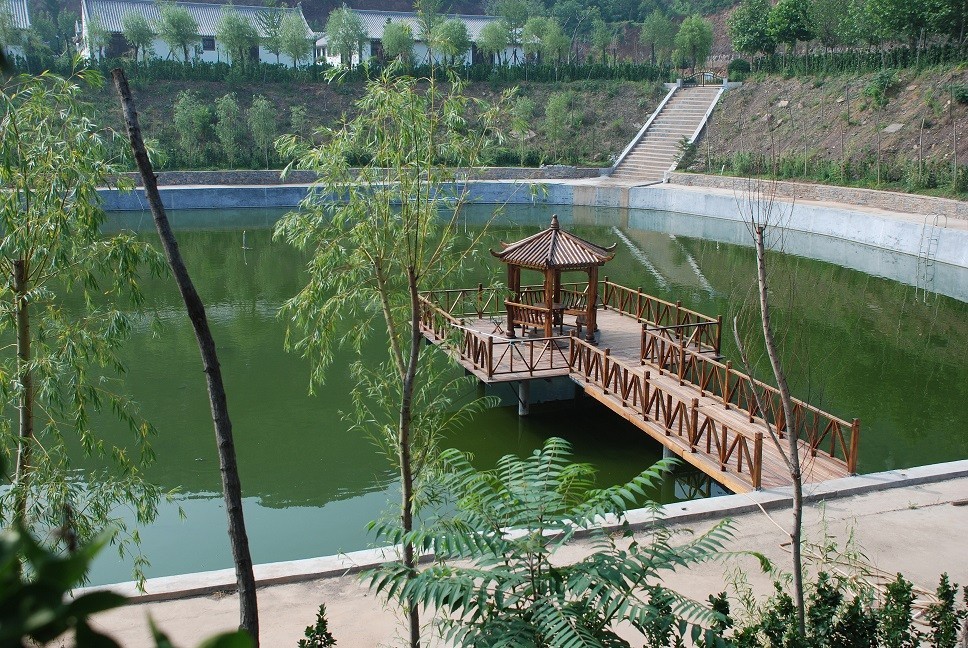 1586767377745044108.jpg 1586767377745044108.jpg