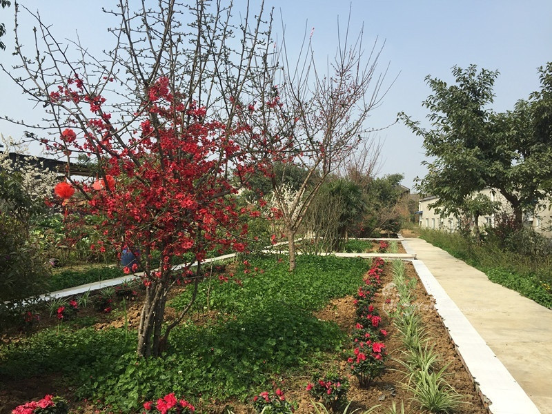 1586929690592084420.jpg 1586929690592084420.jpg