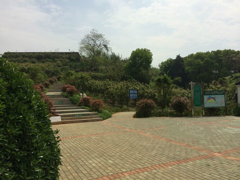 1590893528633092153.jpg 1590893528633092153.jpg