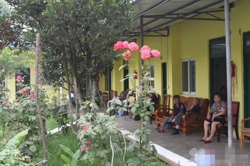 1592382942664044979.jpg 3.jpg