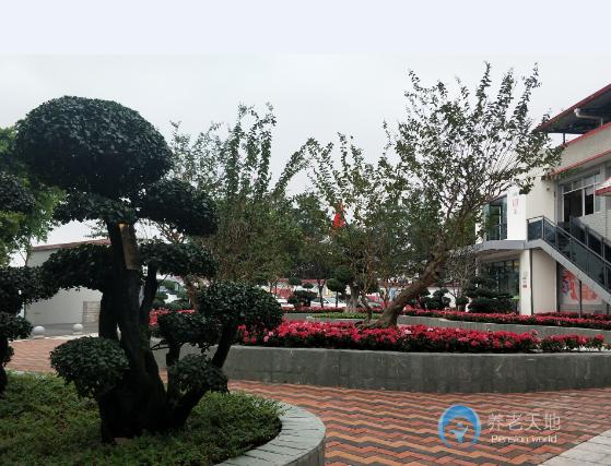 1594540846607052264.jpg 1594540846607052264.jpg