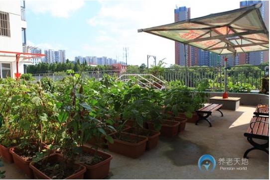 1595583522590067141.jpg 1595583522590067141.jpg