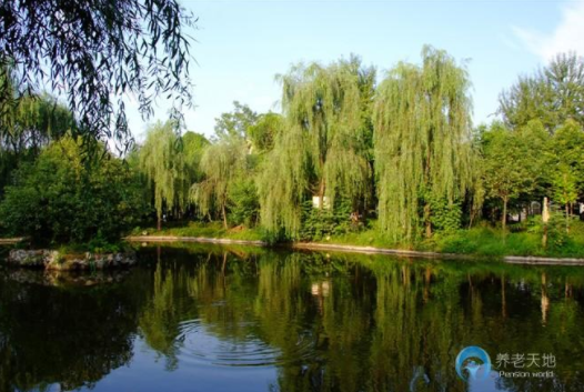 1604548396444078343.png 四川省成都市崇州市華西康福園老年公寓3.png