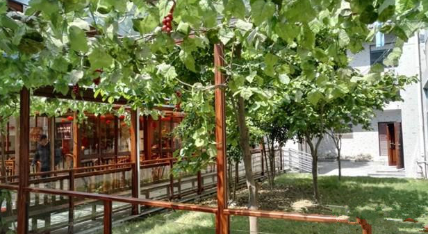 1604554679517027335.png 杭州和睦老人公寓3.png