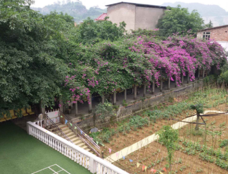 1604632302160083185.png 重慶市南岸區(qū)福源養(yǎng)老院2.png