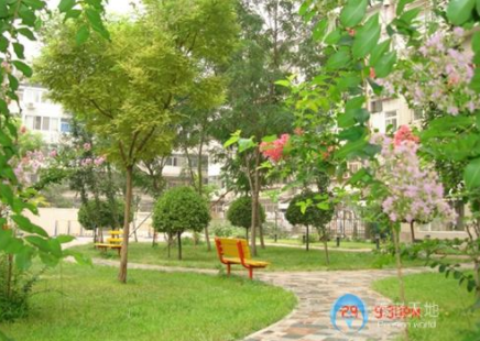 1606873599418034341.png image.png