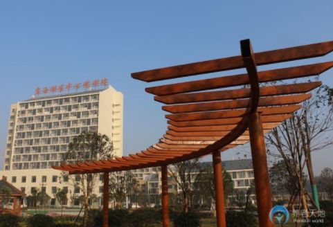 1607504143725044180.png image.png