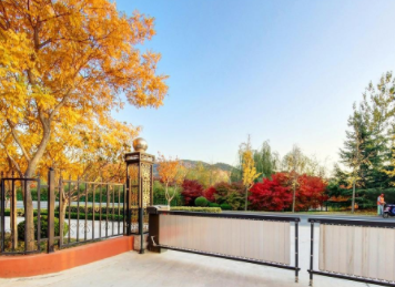 1608021610748096919.png image.png