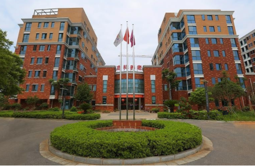 1608796825792047800.png image.png