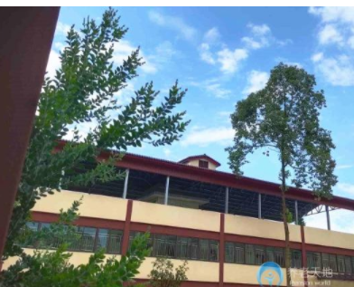 1609405724532061093.png image.png