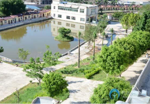 1614580954862039725.png image.png