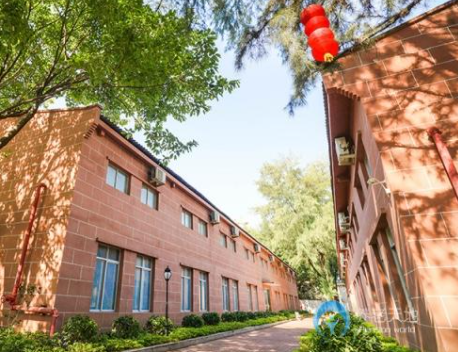 1615355437212031821.png image.png