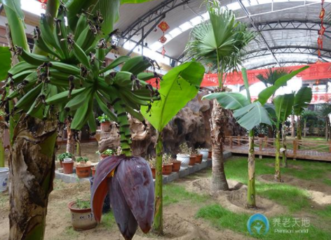 1615441590502052747.png image.png