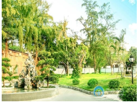 1615787213293019484.png image.png