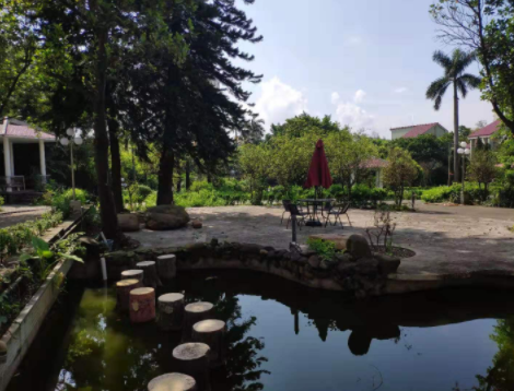 1616048406178067224.png image.png