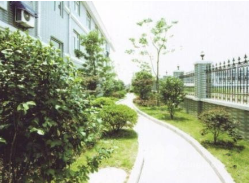 1616572208275063181.png image.png