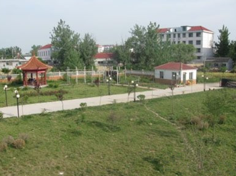 1617073187599040845.png image.png