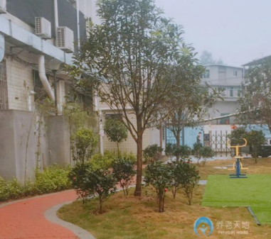 1617075796106075894.png image.png