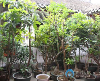 1617869750427089749.png image.png