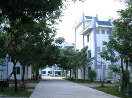 1617871217330003826.png image.png