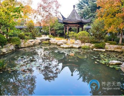 1618293250198083196.png image.png