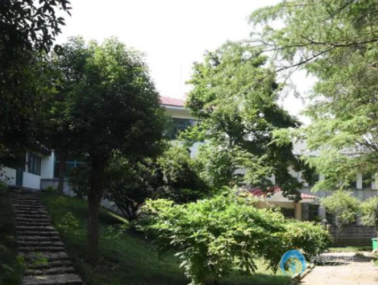 1618295610048005952.png image.png