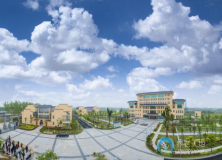 1619059118729026001.png image.png