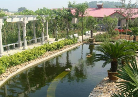 1619330211190058773.png image.png