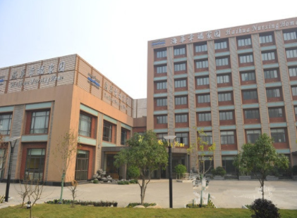 1622182473466029343.png image.png