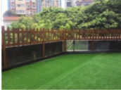 1622454055272071501.png image.png