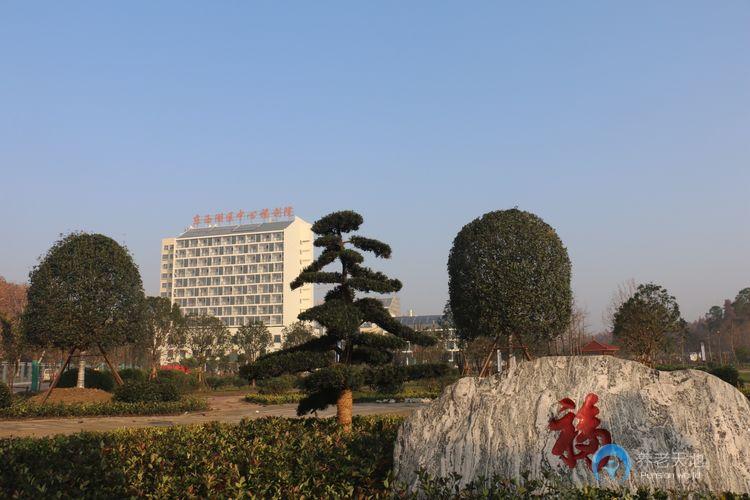 1627623985385052195.jpg 1627623985385052195.jpg