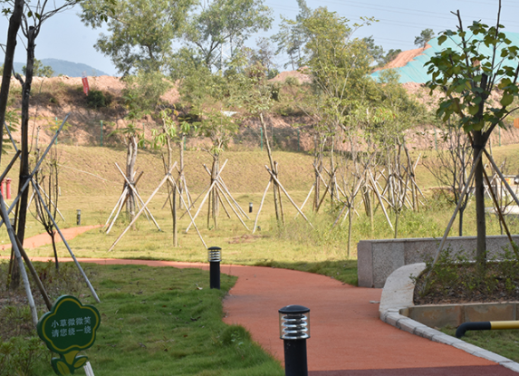 1628230399111095953.png QQ截圖20210806140858.png