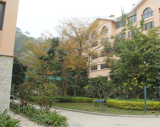 1628488652190053699.png QQ截圖20210809134745.png