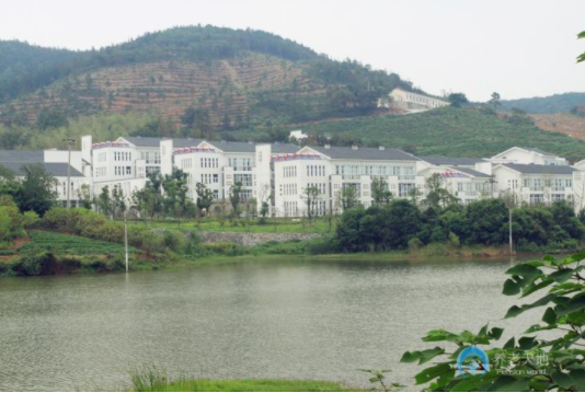 1629269751324004269.png 3.png