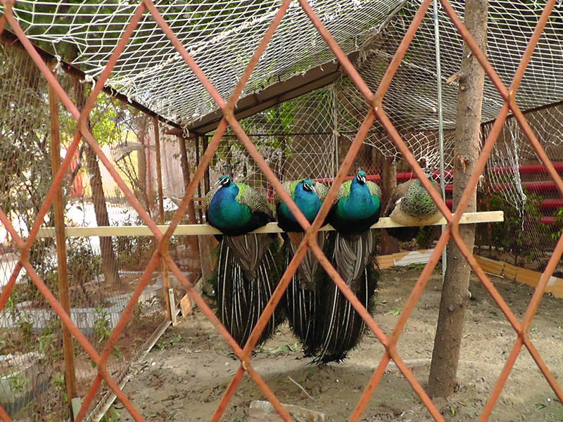 1629270429025018772.jpg 1629270429025018772.jpg