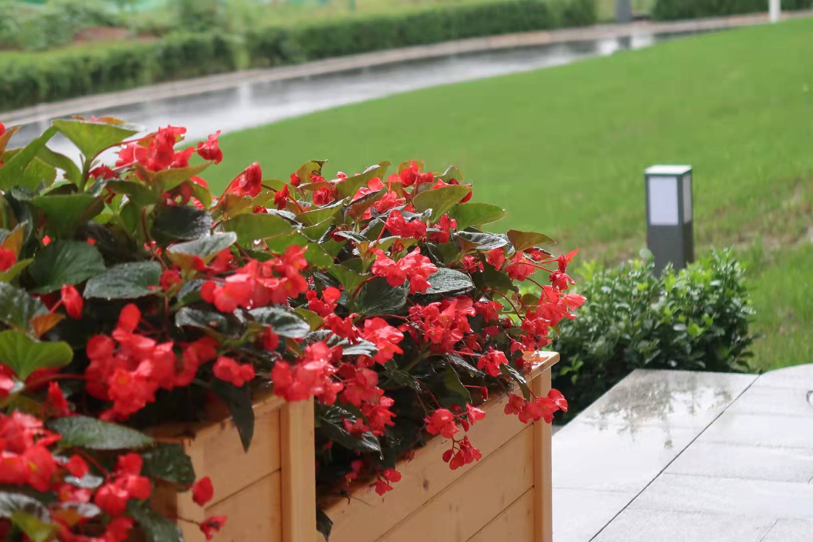 1631587309495049566.jpg 1631587309495049566.jpg