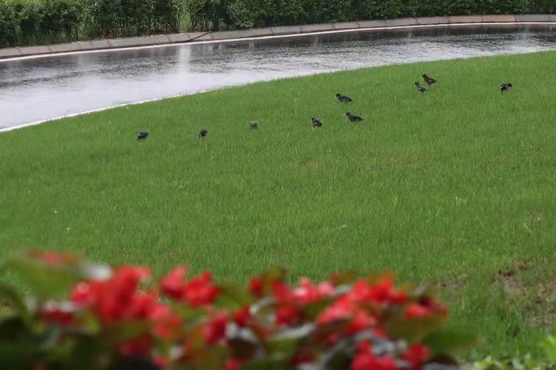 1631587338219026050.jpg 1631587338219026050.jpg