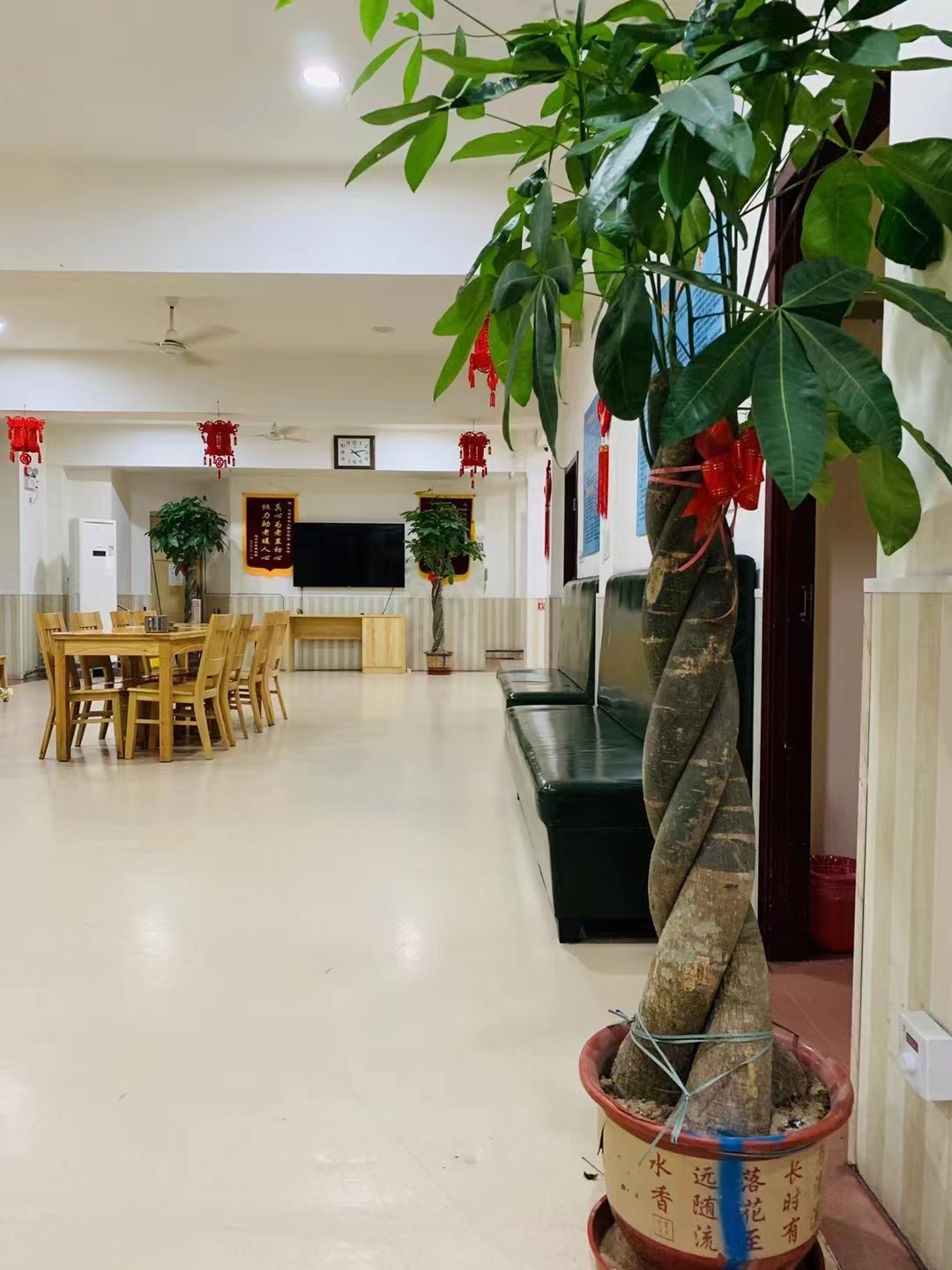 1656899602941027844.jpg 1656899602941027844.jpg