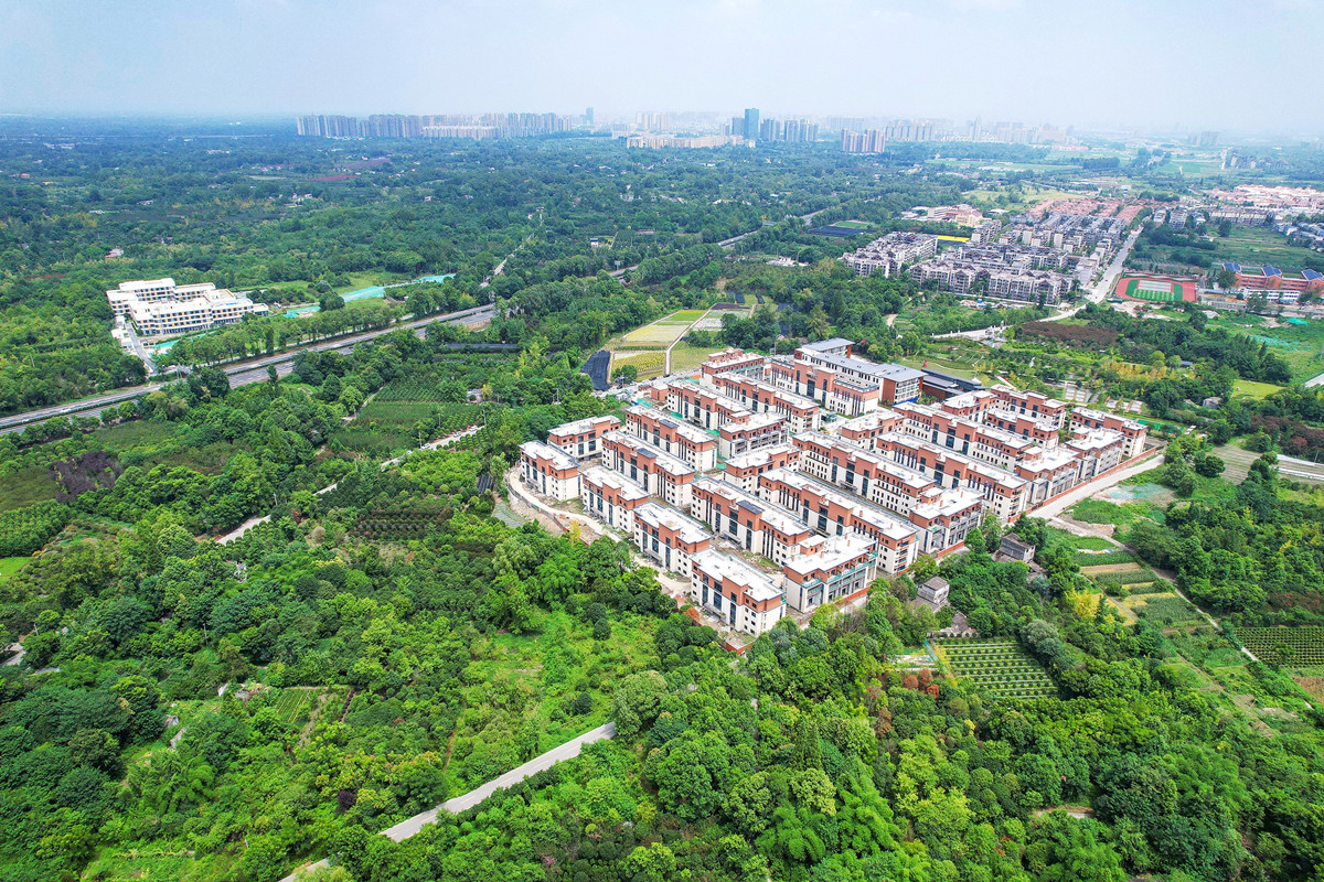 1661138569145073290.jpg 1661138569145073290.jpg