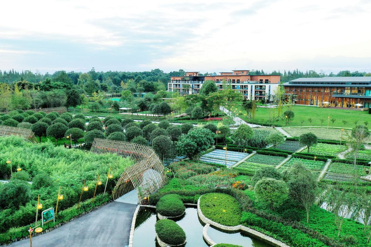 1661138584725086939.jpg 1661138584725086939.jpg