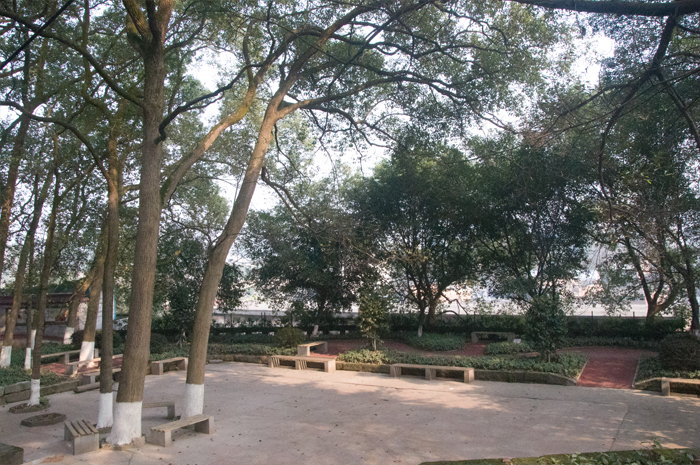 1682649453887062425.jpg 1682649453887062425.jpg