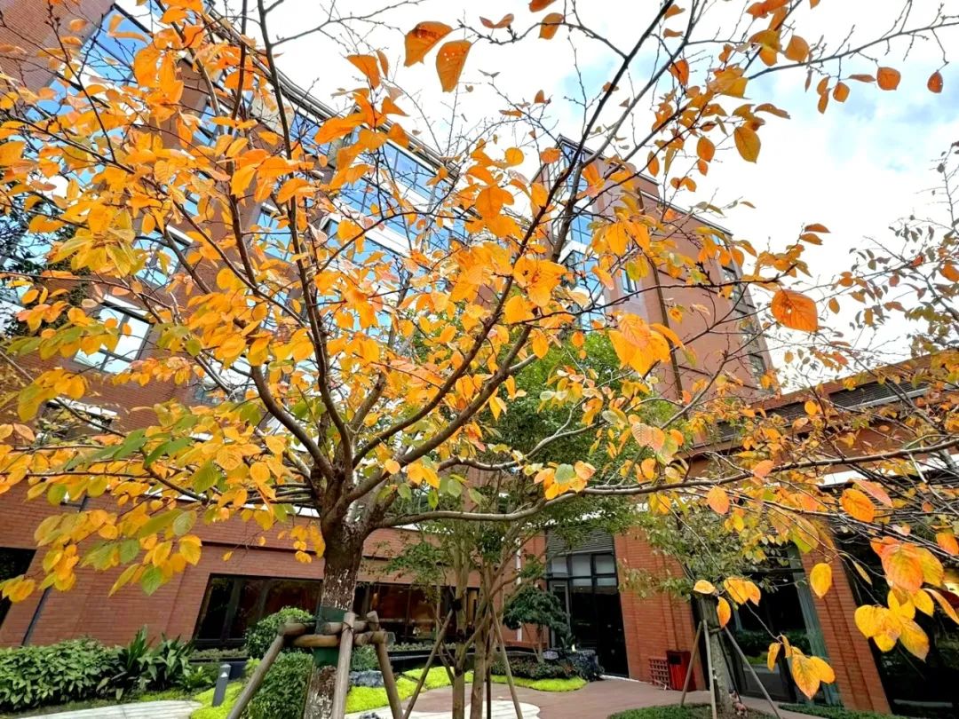 1701658010245033025.jpg 1701658010245033025.jpg