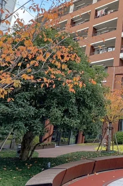 1701658046371040684.jpg 1701658046371040684.jpg